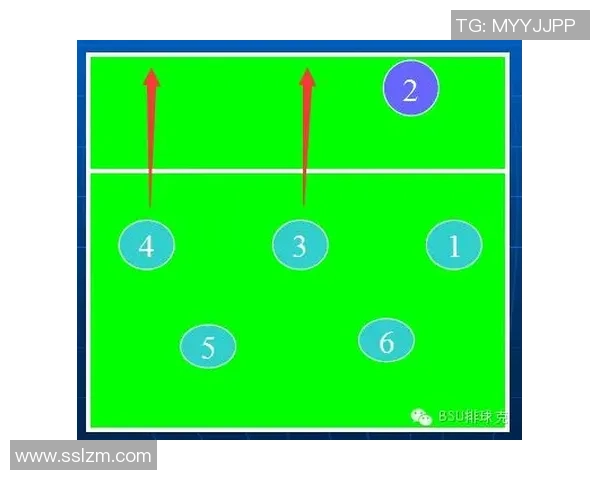 北京排球队进攻策略全解析深度剖析排球战术与团队配合